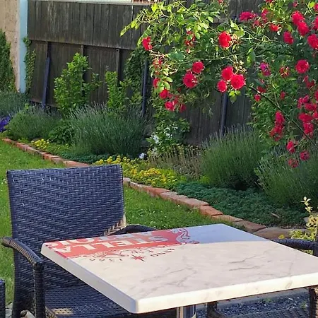 Apartament Maxi - Cafe Princ Pod Hradem Klima, Wifi *
