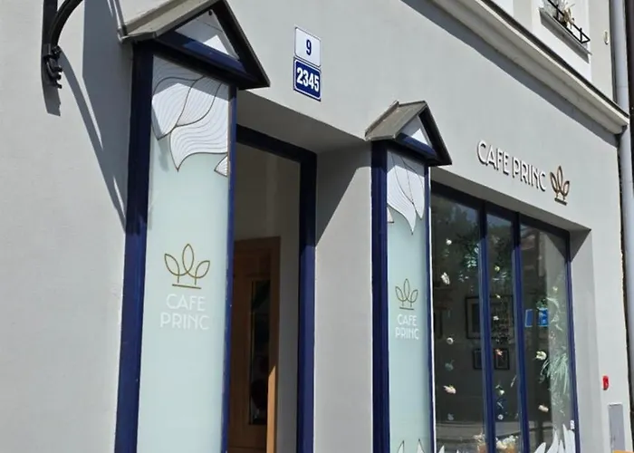 Maxi - Cafe Princ Pod Hradem Klima, Wifi *